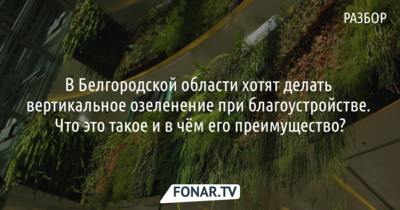 В Белгородской области хотят делать вертикальное озеленение при благоустройстве. Что это такое и в чём его преимущество?