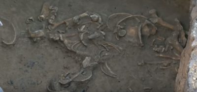В Красногвардейском районе нашли два древних захоронения с оружием и бусинами