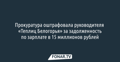Прокуратура оштрафовала руководителя «Теплиц Белогорья» за задолженность по зарплате в 15 миллионов рублей