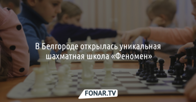 В Белгороде открылась уникальная шахматная школа «Феномен»*