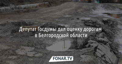 Депутат Госдумы дал оценку дорогам в Белгородской области