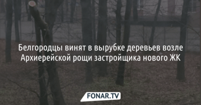 Белгородцы винят в вырубке деревьев возле Архиерейской рощи застройщика нового ЖК