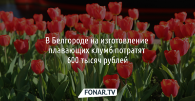 В Белгороде на изготовление плавающих клумб потратят 600 тысяч рублей