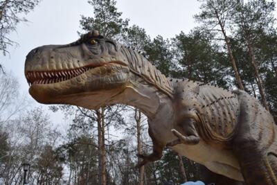 «Проснувшиеся» динозавры. В Белгородском динопарке открывают новый сезон
