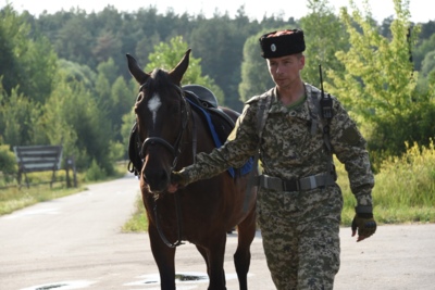 Мэр Белгорода оценил конный казачий патруль