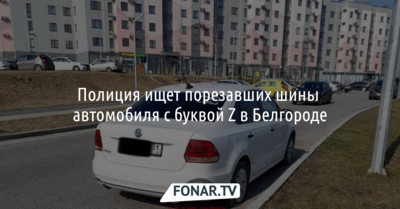 Полиция ищет порезавших шины автомобиля с буквой Z в Белгороде