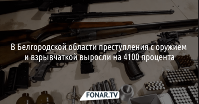МВД: Белгородская область стала антилидером по росту преступлений с оружием в январе 2023 года