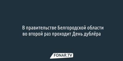 ​В правительстве Белгородской области во второй раз проходит День дублёра