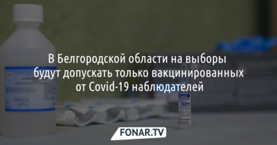 В Белгородской области на выборы будут допускать только вакцинированных от Covid-19 наблюдателей