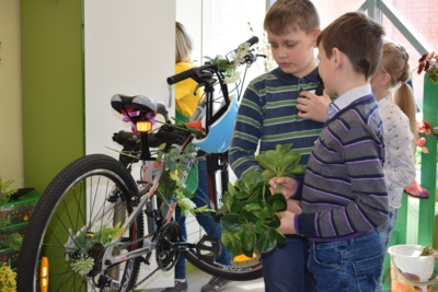 В Белгороде провели «Велодень»: дети пекли «Колёса удачи» и учились правильно ездить на велосипедах