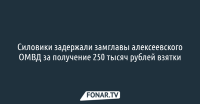 Силовики задержали замглавы алексеевского ОМВД за получение 250 тысяч рублей взятки