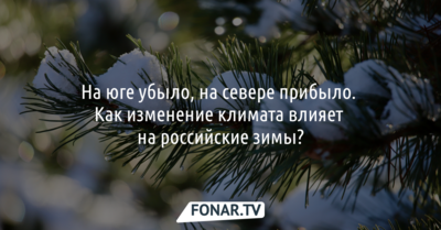 Исследователи отследили, как зимы в европейской части России стали теплее и малоснежнее