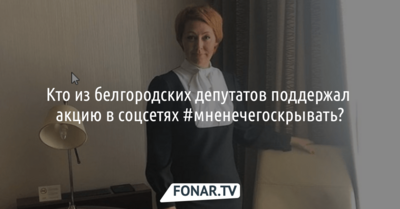 «Мне нечего скрывать». Что рассказали белгородские депутаты о своих помощниках в социальных сетях? 
