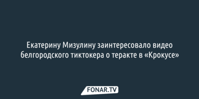 Екатерину Мизулину заинтересовало видео белгородского тиктокера о теракте в «Крокусе»