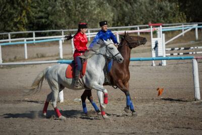 На фестивале «Белгородская слобода» проведут соревнования по конному спорту