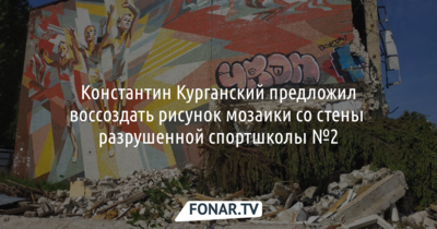 Начальник управления культуры Белгородской области предложил воссоздать рисунок мозаики со стены разрушенной спортшколы №2