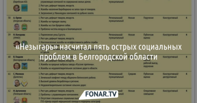 «Незыгарь» насчитал пять острых социальных проблем в Белгородской области