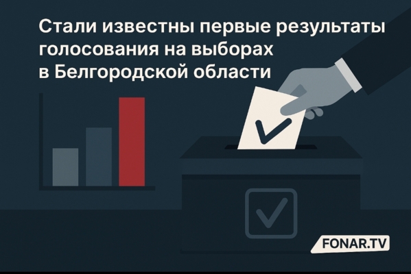 Стали известны первые результаты голосования на выборах в Белгородской области