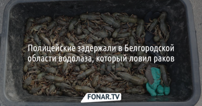 Полицейские задержали в Белгородской области водолаза, который ловил раков