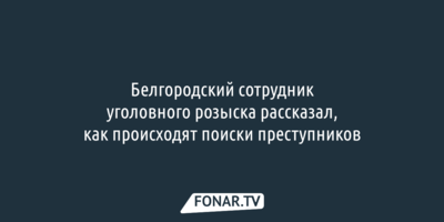 Белгородский полицейский с помощью «оперского фарта» отыскал преступника под диваном