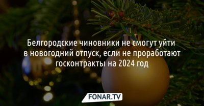 Белгородские чиновники не смогут уйти в новогодний отпуск без госконтрактов на 2024 год