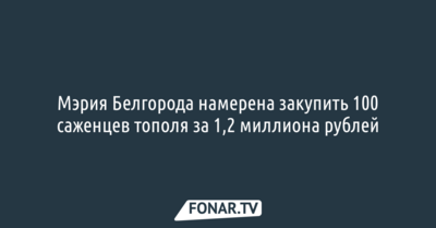 Мэрия Белгорода намерена закупить 100 саженцев тополя за 1,2 миллиона рублей