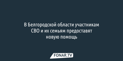 В Белгородской области участникам СВО и их семьям предоставят новую помощь