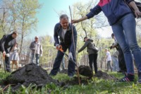 Мэр Константин Полежаев сажает деревья в Центральном парке