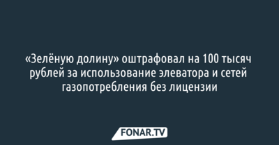 «Зелёную долину» оштрафовал на 100 тысяч рублей за использование элеватора и сетей газопотребления без лицензии