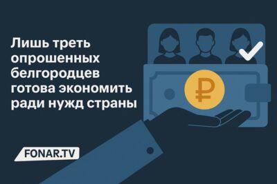 Лишь треть опрошенных белгородцев готова экономить ради нужд страны