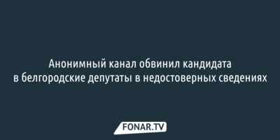 Анонимный канал обвинил кандидата в белгородские депутаты в недостоверных сведениях
