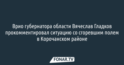 Врио губернатора области Вячеслав Гладков прокомментировал ситуацию со сгоревшим полем в Корочанском районе