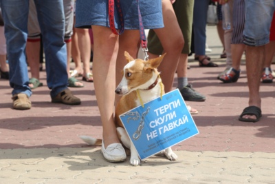 В Белгороде прошёл митинг против повышения пенсионного возраста