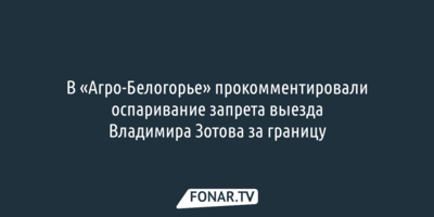 В «Агро-Белогорье» прокомментировали оспаривание запрета выезда Владимира Зотова за границу