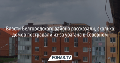 Власти Белгородского района рассказали, сколько домов пострадали из-за урагана в Северном