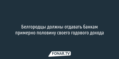 Белгородцы должны отдавать банкам примерно половину своего годового дохода