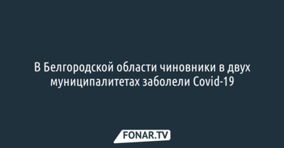 В Белгородской области чиновники в двух муниципалитетах заболели Covid-19