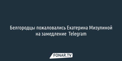 «Сообщение дошло уже после того, как взорвался снаряд». Екатерина Мизулина показала, о чём ей написали белгородцы