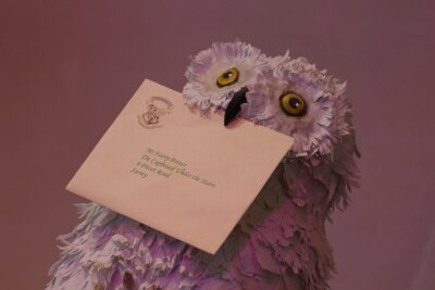 Палочка выбрала волшебников. Как белгородский книжный клуб на один вечер воссоздал в кафе мир Гарри Поттера