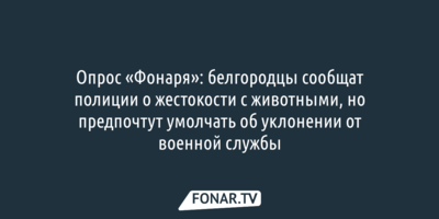 Опрос «Фонаря»: белгородцы охотнее сообщат полицейским о жестоком обращении с животными, но умолчат об уклонении от военной службы