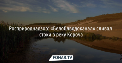 Росприроднадзор: «Белоблводоканал» сливал стоки в реку Короча