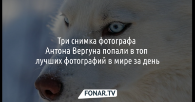 Три снимка фотографа Антона Вергуна попали в топ лучших фотографий в мире за день