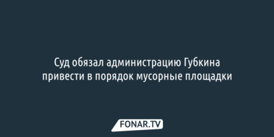 Суд обязал администрацию Губкина привести в порядок мусорные площадки 