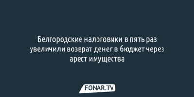Белгородские налоговики в пять раз увеличили возврат денег в бюджет через арест имущества