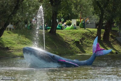 ​«Белгород в цвету-2023». Ледовое шоу и кит на самом ярком фестивале осени