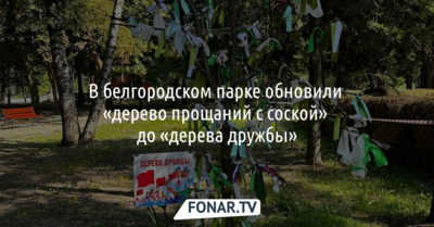 В белгородском парке заменили «дерево прощаний с соской» на «дерево дружбы»