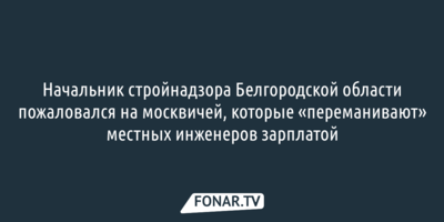 Начальник стройнадзора пожаловался на москвичей, «переманивающих» белгородских инженеров зарплатой