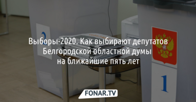 Выборы-2020. Как выбирают депутатов Белгородской областной думы
