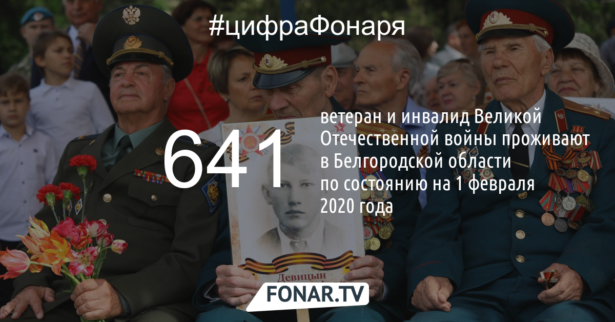 В Белгородской области проживает 641 ветеран и инвалид Великой Отечественной войны