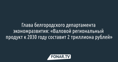 Дмитрий Гладский: «В Белгородской области ВРП к 2030 году составит 2 триллиона рублей»